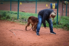Workshop Hundeschule JDC 28.10.2018-8350
