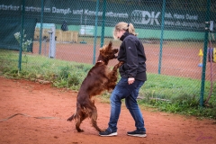 Workshop Hundeschule JDC 28.10.2018-8353