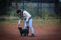 Workshop Hundeschule JDC 28.10.2018-8362