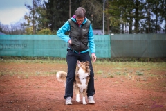 Workshop Hundeschule JDC 28.10.2018-8367
