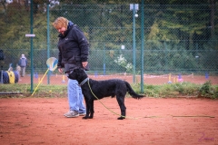 Workshop Hundeschule JDC 28.10.2018-8368