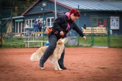 Workshop Hundeschule JDC 28.10.2018-8377