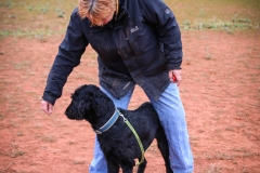 Workshop Hundeschule JDC 28.10.2018-8380