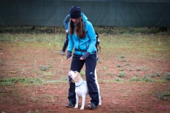 Workshop Hundeschule JDC 28.10.2018-8386