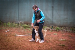 Workshop Hundeschule JDC 28.10.2018-8389