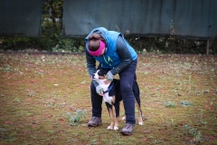 Workshop Hundeschule JDC 28.10.2018-8391