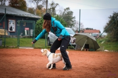 Workshop Hundeschule JDC 28.10.2018-8400
