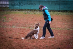 Workshop Hundeschule JDC 28.10.2018-8404