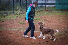 Workshop Hundeschule JDC 28.10.2018-8406