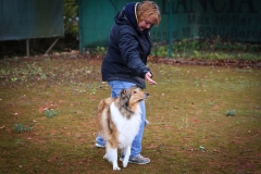 Workshop Hundeschule JDC 28.10.2018-8408