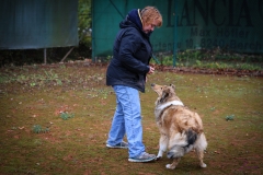 Workshop Hundeschule JDC 28.10.2018-8409