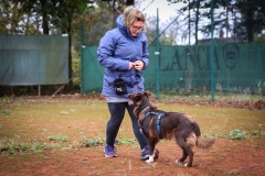 Workshop Hundeschule JDC 28.10.2018-8411