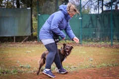 Workshop Hundeschule JDC 28.10.2018-8413