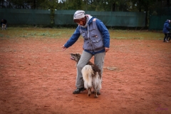 Workshop Hundeschule JDC 28.10.2018-8417