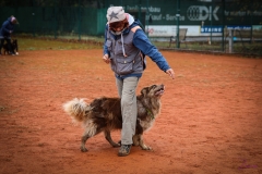 Workshop Hundeschule JDC 28.10.2018-8418