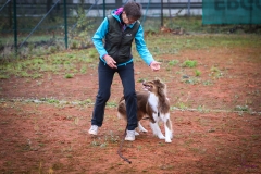 Workshop Hundeschule JDC 28.10.2018-8421