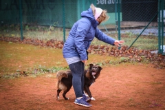 Workshop Hundeschule JDC 28.10.2018-8423
