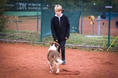 Workshop Hundeschule JDC 28.10.2018-8429