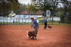 Workshop Hundeschule JDC 28.10.2018-8432