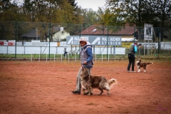Workshop Hundeschule JDC 28.10.2018-8433