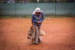 Workshop Hundeschule JDC 28.10.2018-8434