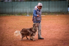 Workshop Hundeschule JDC 28.10.2018-8435