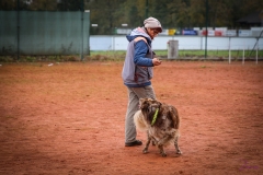 Workshop Hundeschule JDC 28.10.2018-8438