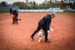 Workshop Hundeschule JDC 28.10.2018-8442