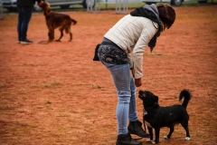 Workshop Hundeschule JDC 28.10.2018-8443