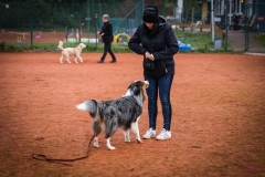 Workshop Hundeschule JDC 28.10.2018-8446