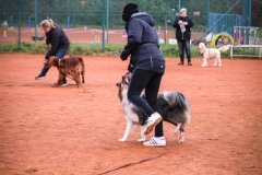 Workshop Hundeschule JDC 28.10.2018-8447