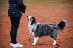 Workshop Hundeschule JDC 28.10.2018-8449