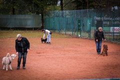 Workshop Hundeschule JDC 28.10.2018-8451