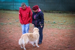 Workshop Hundeschule JDC 28.10.2018-8453