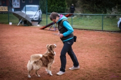 Workshop Hundeschule JDC 28.10.2018-8459