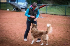 Workshop Hundeschule JDC 28.10.2018-8460
