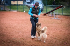 Workshop Hundeschule JDC 28.10.2018-8461