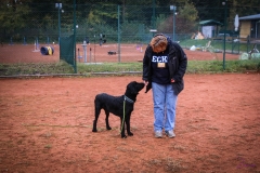 Workshop Hundeschule JDC 28.10.2018-8462