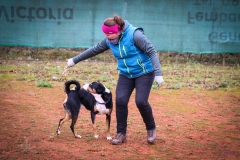 Workshop Hundeschule JDC 28.10.2018-8478