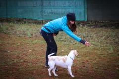 Workshop Hundeschule JDC 28.10.2018-8482