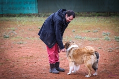 Workshop Hundeschule JDC 28.10.2018-8494