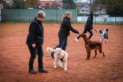 Workshop Hundeschule JDC 28.10.2018-8498