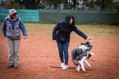 Workshop Hundeschule JDC 28.10.2018-8502