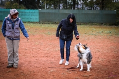 Workshop Hundeschule JDC 28.10.2018-8503