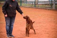 Workshop Hundeschule JDC 28.10.2018-8504