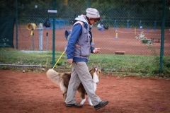 Workshop Hundeschule JDC 28.10.2018-8511