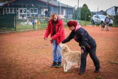 Workshop Hundeschule JDC 28.10.2018-8527