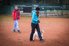 Workshop Hundeschule JDC 28.10.2018-8538