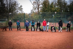 Workshop Hundeschule JDC 28.10.2018-8573