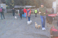 IMG-20231021-WA0005
